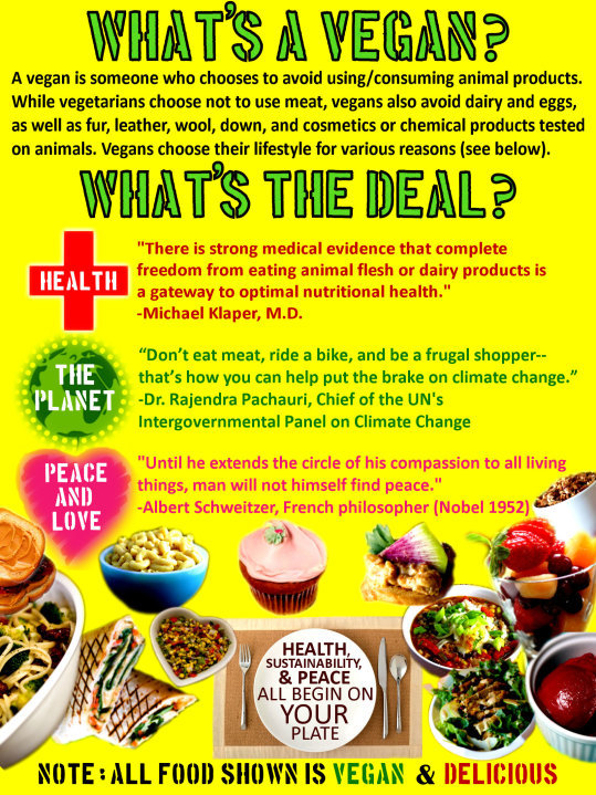 Why Vegan Poster