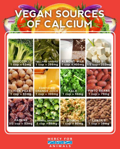 Graphic from <a href="http://www.mercyforanimals.org/">Mercy for Animals</a>.