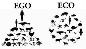 Ego vs. Eco