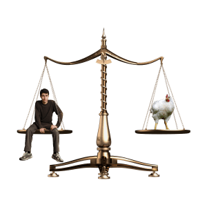 Speciesism: The Movie