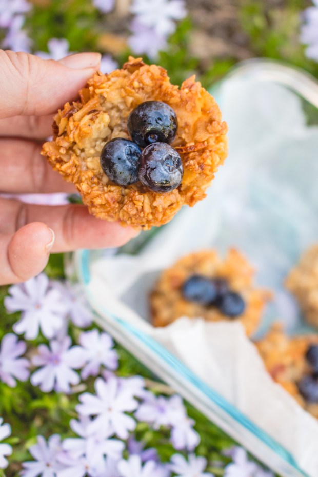 Mini Coconut Macaroon Nests | plantcrush.co