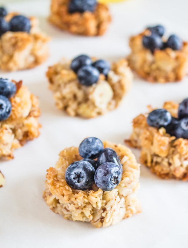 Mini Coconut Macaroon Nests | plantcrush.co
