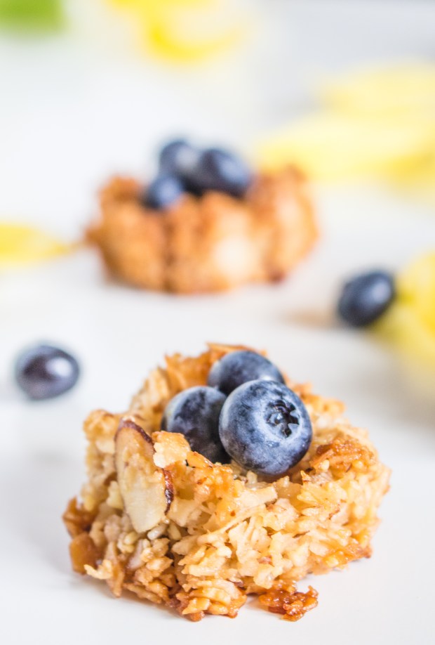 Mini Coconut Macaroon Nests | plantcrush.co