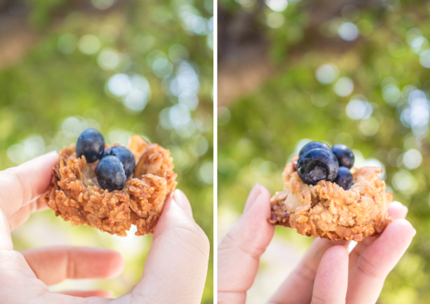 Mini Coconut Macaroon Nests | plantcrush.co