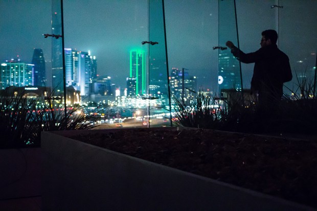 The Veg Tour Christmas Edition in Dallas | plantcrush.co3