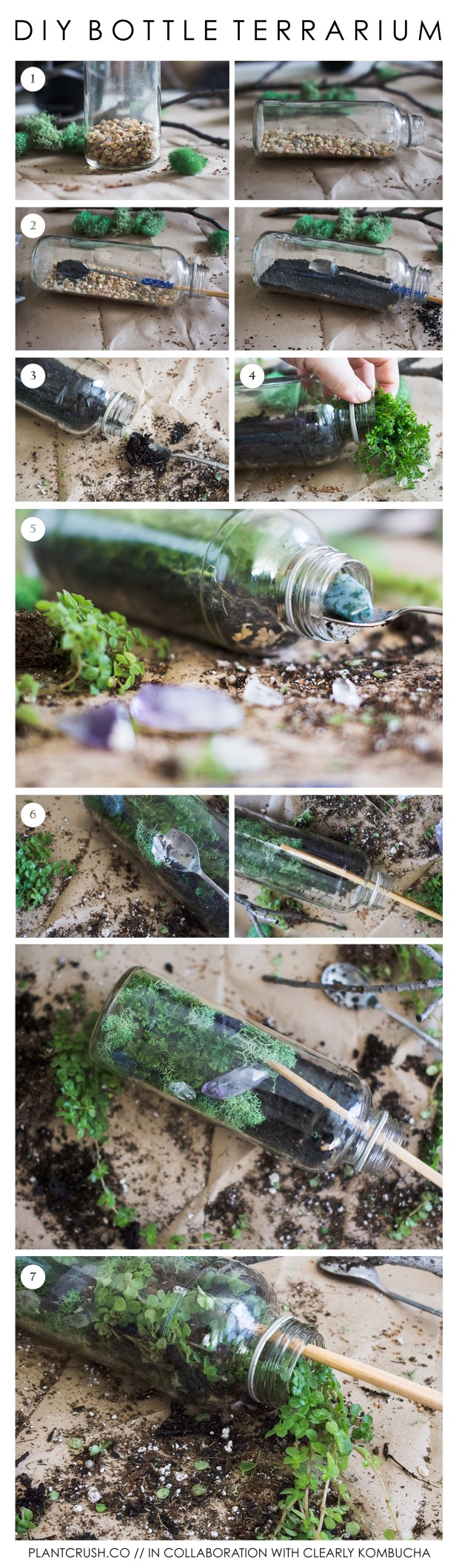 Terrarium Bottle DIY | plantcrush.co