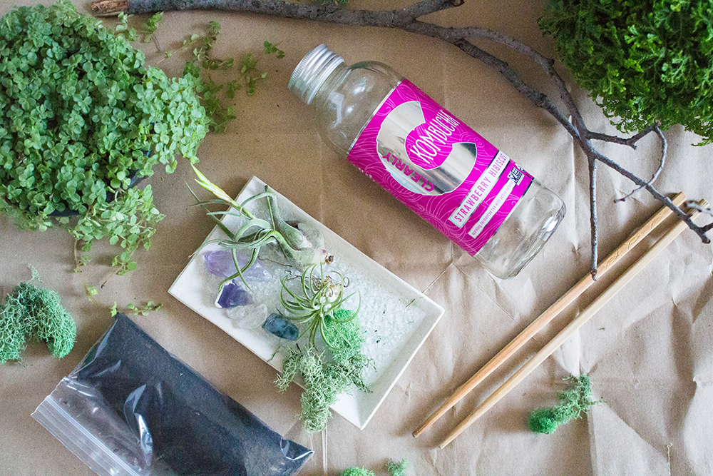 Terrarium Tutorial Beginning-2