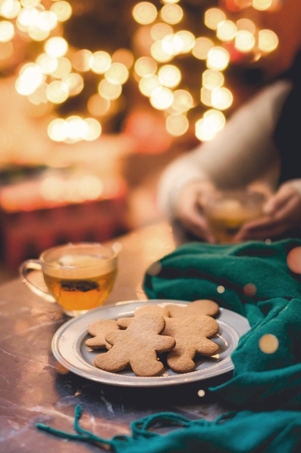 gingerbread scene final-B